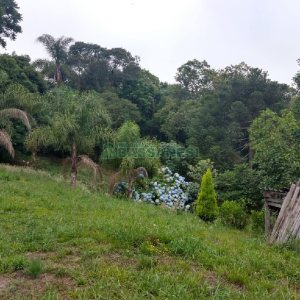 Chácara com 200m², 3 dormitórios, 1 vaga, no bairro Ana Rech em Caxias do Sul para Comprar