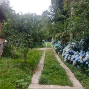 Chácara com 200m², 3 dormitórios, 1 vaga, no bairro Ana Rech em Caxias do Sul para Comprar