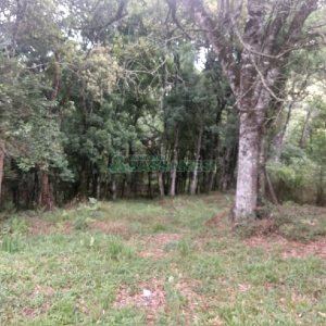 Chácara com 200m², 3 dormitórios, 1 vaga, no bairro Ana Rech em Caxias do Sul para Comprar