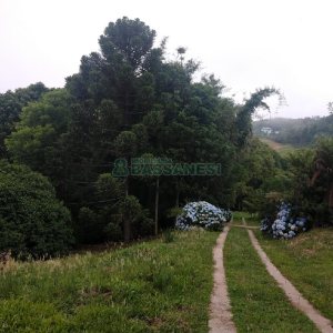 Chácara com 200m², 3 dormitórios, 1 vaga, no bairro Ana Rech em Caxias do Sul para Comprar