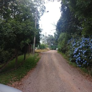 Chácara com 200m², 3 dormitórios, 1 vaga, no bairro Ana Rech em Caxias do Sul para Comprar