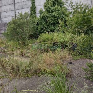 Terreno, no bairro Presidente Vargas em Caxias do Sul para Comprar