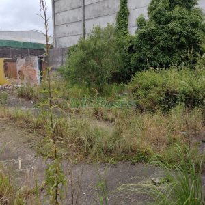 Terreno, no bairro Presidente Vargas em Caxias do Sul para Comprar