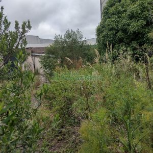 Terreno, no bairro Presidente Vargas em Caxias do Sul para Comprar