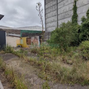 Terreno, no bairro Presidente Vargas em Caxias do Sul para Comprar