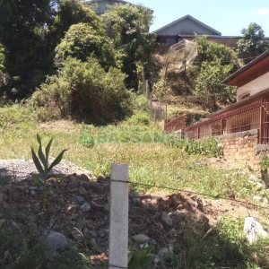 Terreno com 363m², no bairro São Leopoldo em Caxias do Sul para Alugar