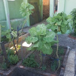 Casa com 252m², 5 dormitórios, no bairro Planalto em Caxias do Sul para Comprar