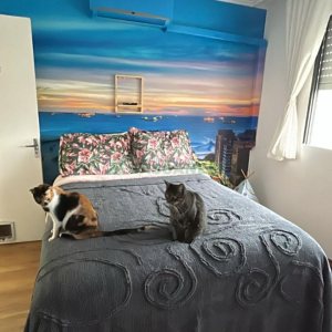 Apto Mobiliado com 68m², 2 dormitórios, 1 vaga, no bairro Centro em Caxias do Sul para Alugar ou Comprar