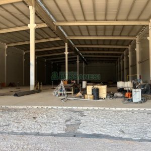 Pavilhão com 3682m², no bairro Cidade Nova em Caxias do Sul para Alugar