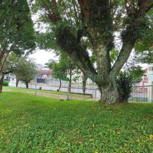 Casa com 283m², 5 dormitórios, 3 vagas, no bairro Jardim América em Caxias do Sul para Alugar ou Comprar