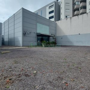 Espaço com 177m², no bairro São Pelegrino em Caxias do Sul para Alugar