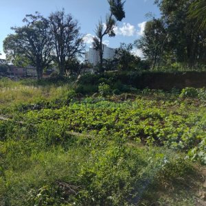 Terreno, no bairro Bela Vista em Caxias do Sul para Comprar