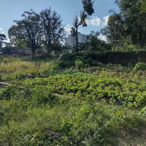 Terreno, no bairro Bela Vista em Caxias do Sul para Comprar