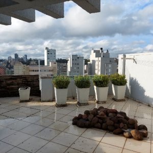 Apartamento, 3 dormitórios, 2 vagas, no bairro Centro em Caxias do Sul para Comprar