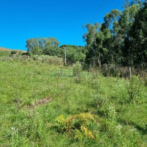 Chácara, no bairro Vila Seca em Caxias do Sul para Comprar