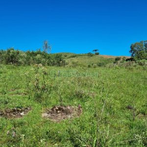 Chácara, no bairro Vila Seca em Caxias do Sul para Comprar