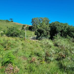 Chácara, no bairro Vila Seca em Caxias do Sul para Comprar