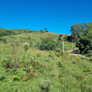 Chácara, no bairro Vila Seca em Caxias do Sul para Comprar