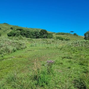 Chácara, no bairro Vila Seca em Caxias do Sul para Comprar