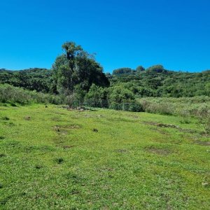 Chácara, no bairro Vila Seca em Caxias do Sul para Comprar