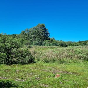 Chácara, no bairro Vila Seca em Caxias do Sul para Comprar