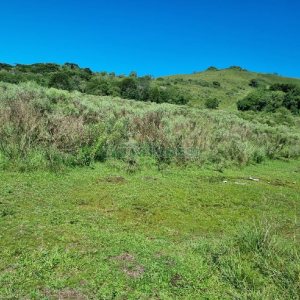 Chácara, no bairro Vila Seca em Caxias do Sul para Comprar