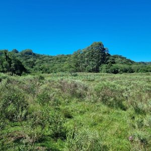 Chácara, no bairro Vila Seca em Caxias do Sul para Comprar