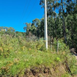 Chácara, no bairro Vila Seca em Caxias do Sul para Comprar