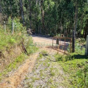 Chácara, no bairro Vila Seca em Caxias do Sul para Comprar