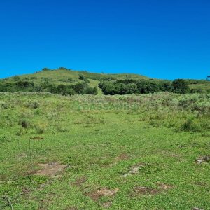Chácara, no bairro Vila Seca em Caxias do Sul para Comprar