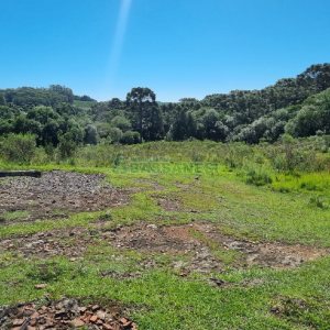 Chácara, no bairro Vila Seca em Caxias do Sul para Comprar