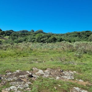 Chácara, no bairro Vila Seca em Caxias do Sul para Comprar