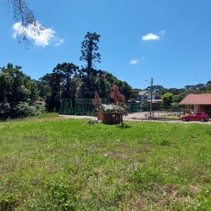 Terreno, no bairro Ana Rech em Caxias do Sul para Comprar