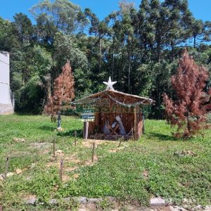Terreno, no bairro Ana Rech em Caxias do Sul para Comprar