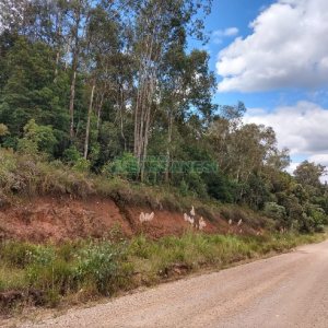 Chácara, no bairro 3 Legua em Caxias do Sul para Comprar