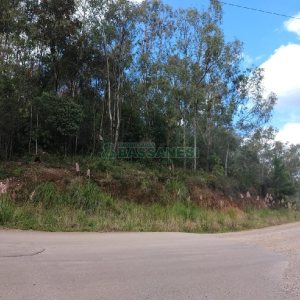 Chácara, no bairro 3 Legua em Caxias do Sul para Comprar