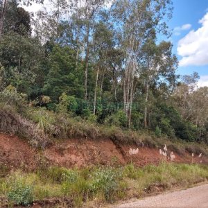 Chácara, no bairro 3 Legua em Caxias do Sul para Comprar
