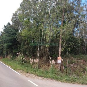 Chácara, no bairro 3 Legua em Caxias do Sul para Comprar
