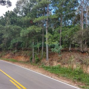 Chácara, no bairro 3 Legua em Caxias do Sul para Comprar