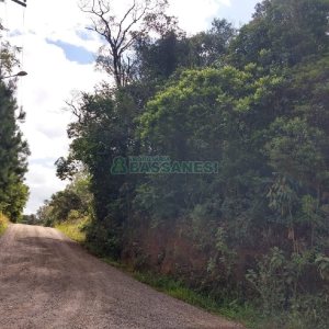 Chácara, no bairro 3 Legua em Caxias do Sul para Comprar