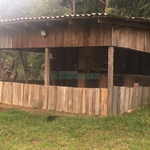 Chácara com 170m², 3 dormitórios, no bairro Ana Rech em Caxias do Sul para Comprar