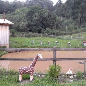 Chácara com 170m², 3 dormitórios, no bairro Ana Rech em Caxias do Sul para Comprar