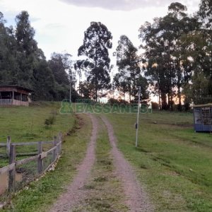 Chácara com 170m², 3 dormitórios, no bairro Ana Rech em Caxias do Sul para Comprar