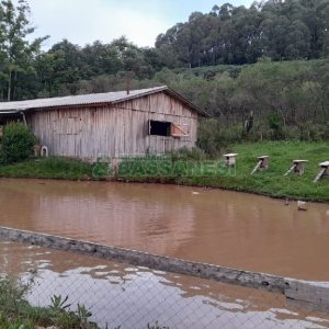 Chácara com 170m², 3 dormitórios, no bairro Ana Rech em Caxias do Sul para Comprar