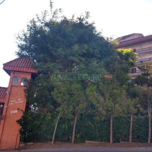 Apartamento com 200m², 3 dormitórios, 2 vagas, no bairro Universitário em Caxias do Sul para Comprar