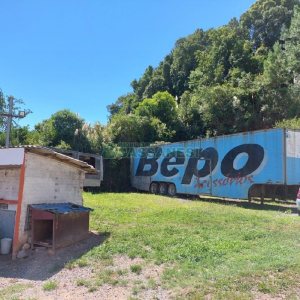 Pavilhão com 1200m², no bairro Santa Fé em Caxias do Sul para Comprar
