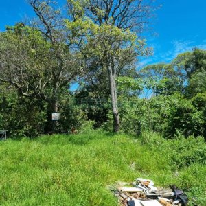 Terreno, no bairro São Caetano em Caxias do Sul para Comprar