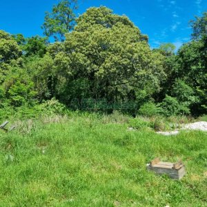 Terreno, no bairro São Caetano em Caxias do Sul para Comprar