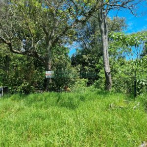 Terreno, no bairro São Caetano em Caxias do Sul para Comprar