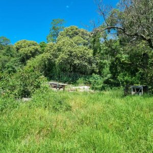 Terreno, no bairro São Caetano em Caxias do Sul para Comprar